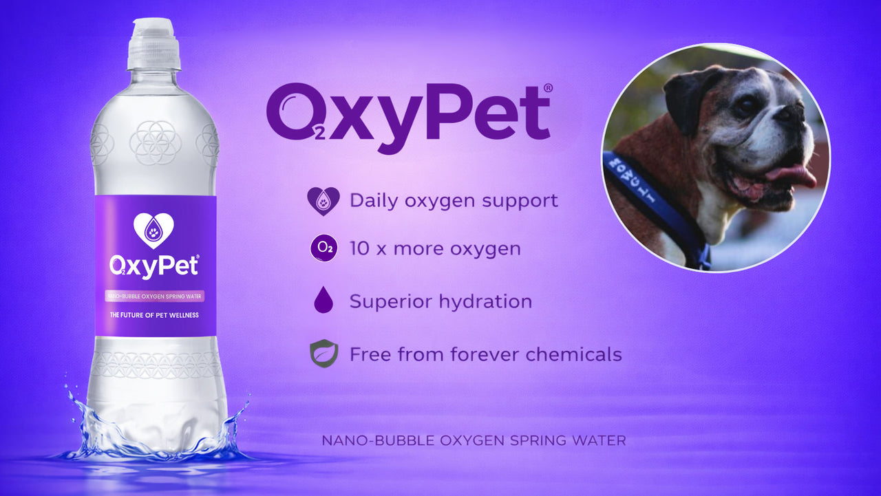 OxyPet bottle beside a Boxer: daily oxygen support, 10 x more oxygen, superior hydration, free from forever chemicals