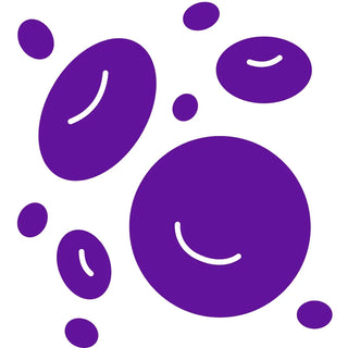 OxyPet Case Study 3: How Blood Profile Changes Could Benefit Dogs & Cats