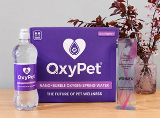 Most Eco-Friendly Pet Product