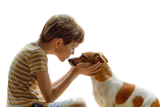 How do pets, especially dogs help with mental health