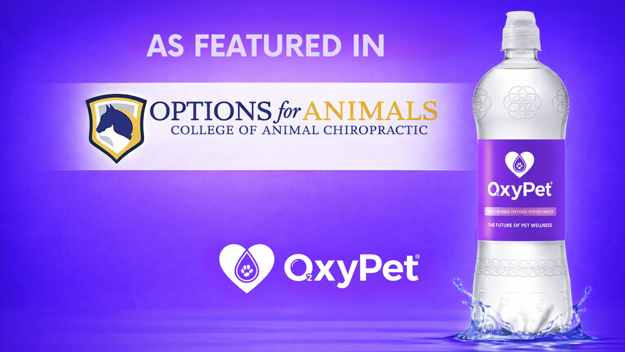 OxyPet as featured in Options for Animals, College of Animal Chiropractic