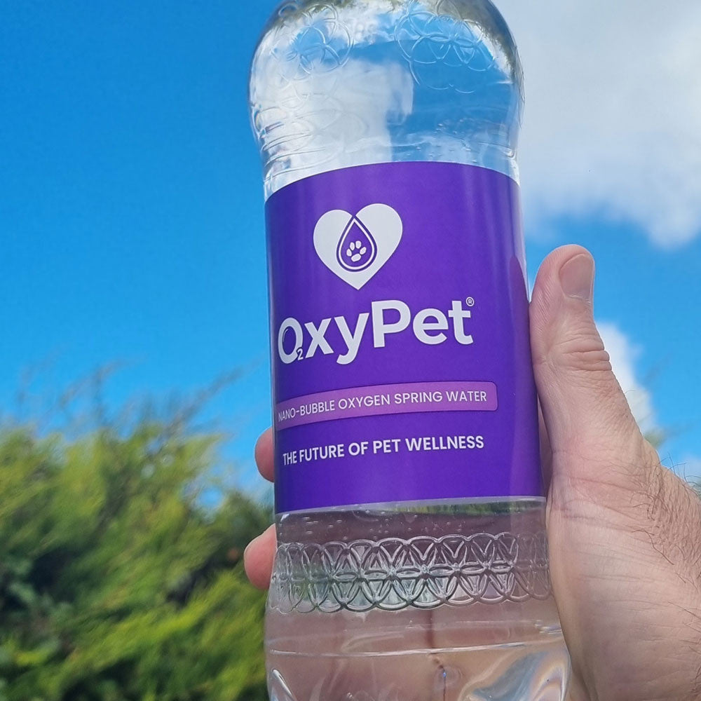 OxyPet Oxygen Water - 12 x 750ml Case