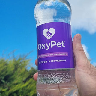 OxyPet Oxygen Water - 12 x 750ml Case