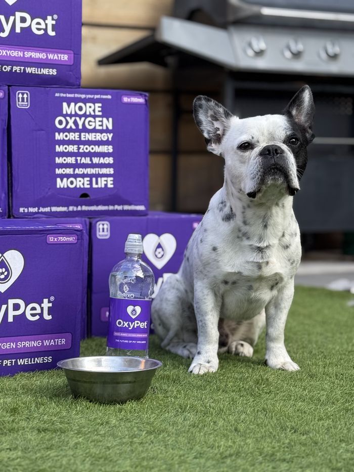 A dog from the OxyPet community